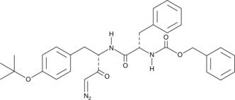 Cathepsin L inhibitor III
