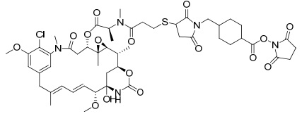 DM1-SMCC