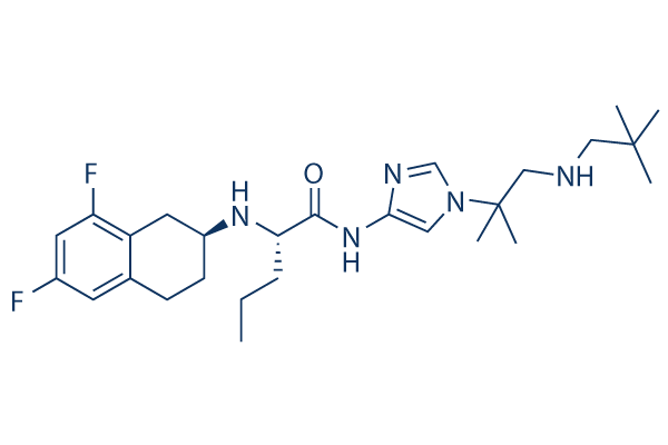 PF-03084014 (Nirogacestat)