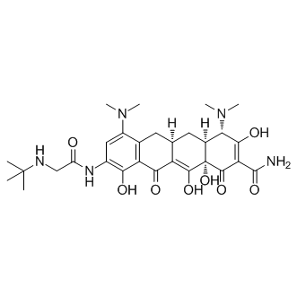 Tigecycline