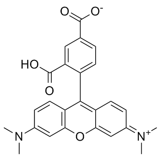 5-TAMRA