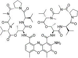 Actinomycin D