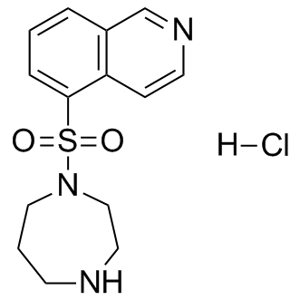 Fasudil-HA