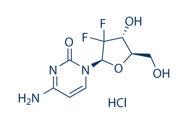 Gemcitabine HCl (Gemzar,LY188011)