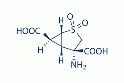 LY-404039