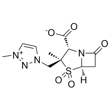 AAI-101