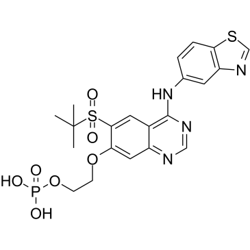 GSK2983559