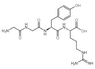 Papain Inhibitor