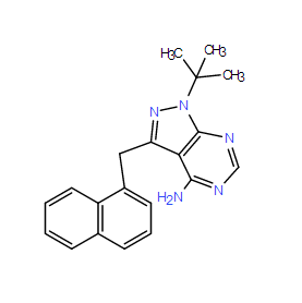 1-NM-PP1