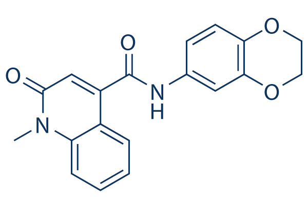 CeMMEC13