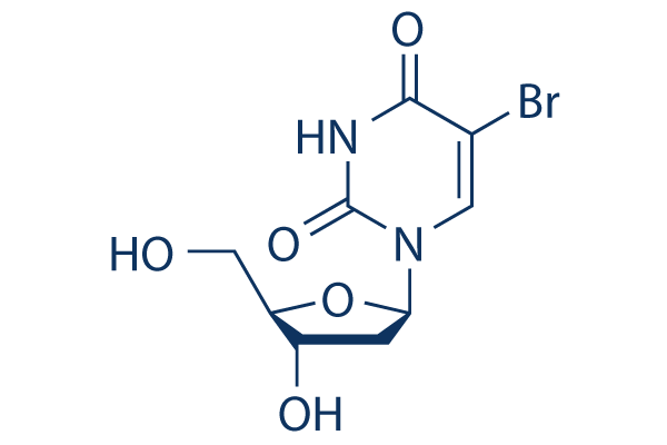 Bromodeoxyuridine (BrdU)