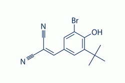 AG-1024 (Tyrphostin)