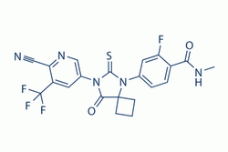 Apalutamide（ARN509）
