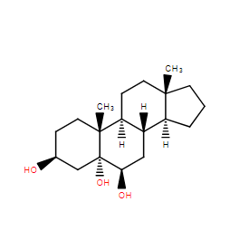 Annaosanchun(YC-6)
