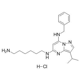 BS-181 hydrochloride