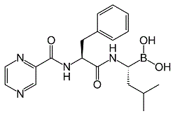 Bortezomib (Velcade,MG-341,PS-341)