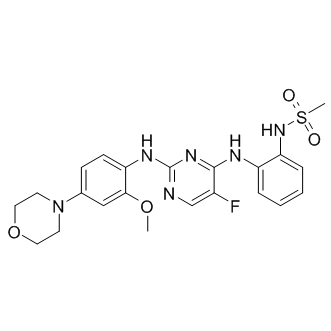 CZC-25146