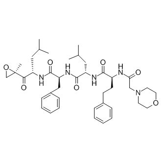 Carfilzomib (PR-171)