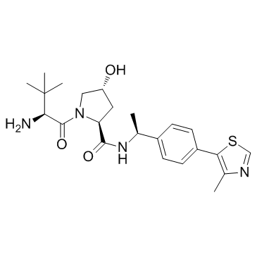 E3 ligase Ligand 1A