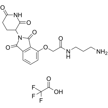 Thalidomide-O-amido-C3-NH2