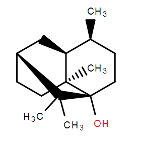 Patchouli Alcohol