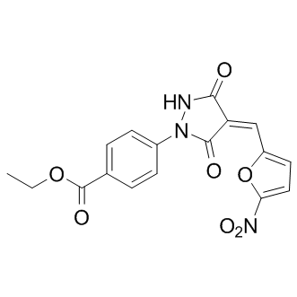 PYR 41