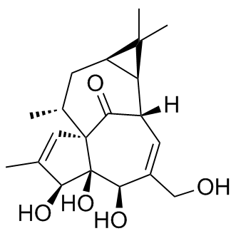 Ingenol