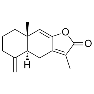 Atractylenolide 1