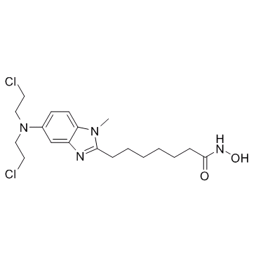 Tinostamustine(EDO-S101)