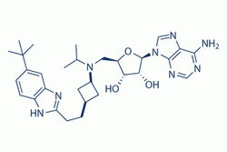 Pinometostat(EPZ5676)