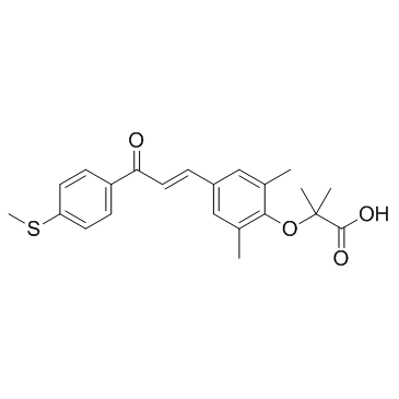 Elafibranor(GFT505)