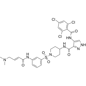FMF-04-159-2