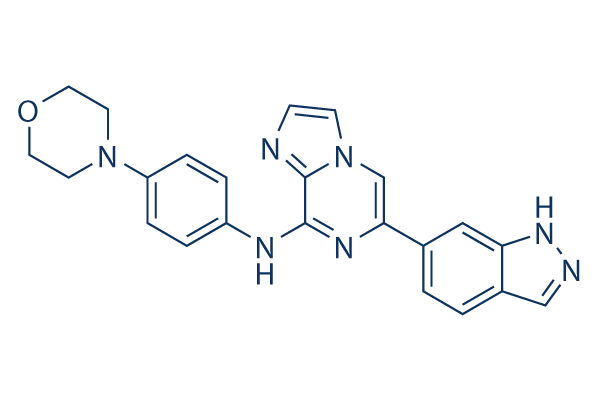 GS9973（Entospletinib）