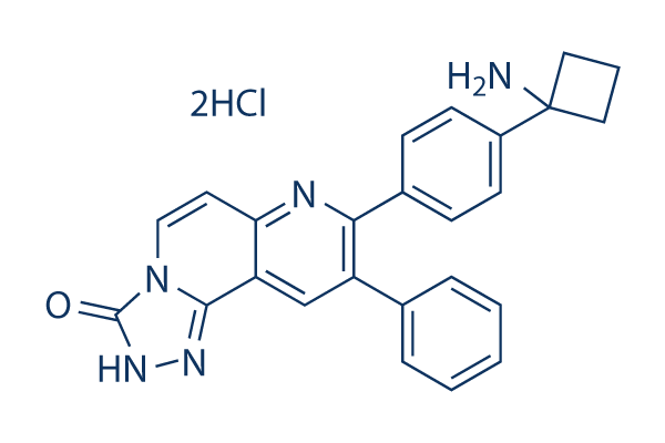 MK-2206 2HCl