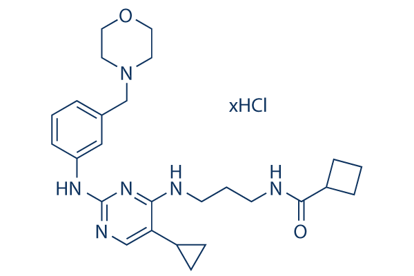 MRT67307 HCl