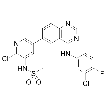 MTX211