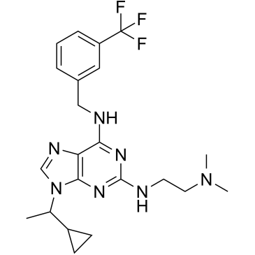 NCC007