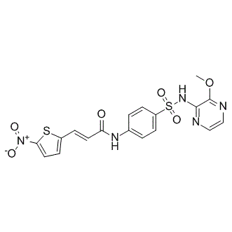 Necrosulfonamide (NSA)