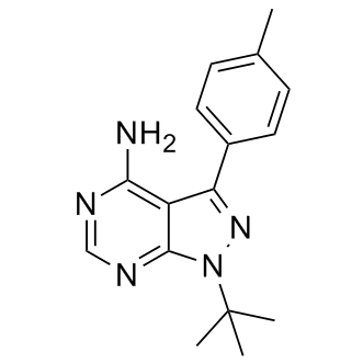 pp1
