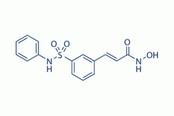 Belinostat (PXD101)