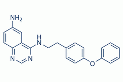 QNZ(EVP4593)