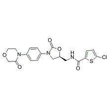 BAY 59-7939 (Rivaroxaban)