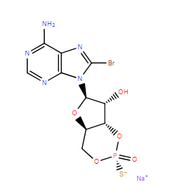 Rp-8-bromo-Cyclic AMPS