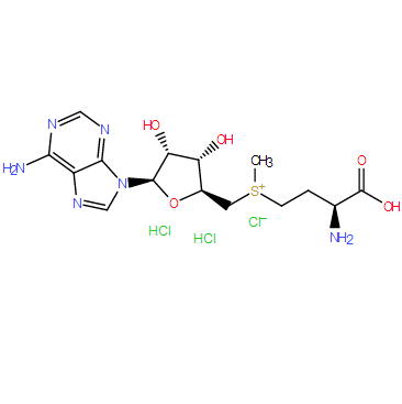 S-(5'-Adenosyl)-L-methionine chloride（SAM）