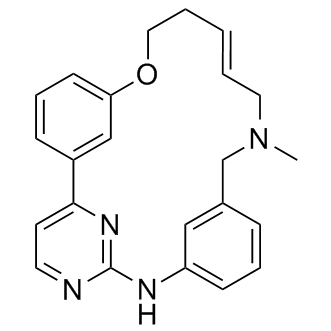 SB1317(TG-02)