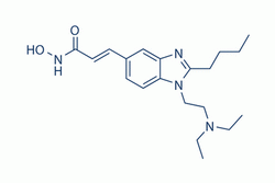 Pracinostat(SB939)