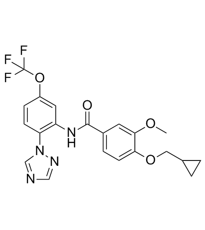 VU6012962