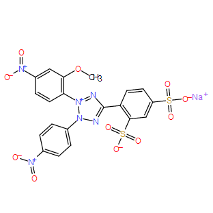 WST-8