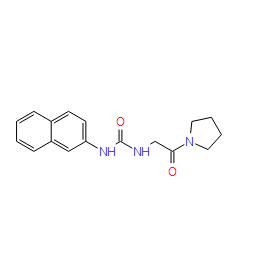 XY1