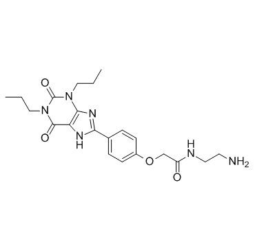 Xanthine amine congener